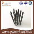 Tungsten Carrbide Barres / barres non moulues